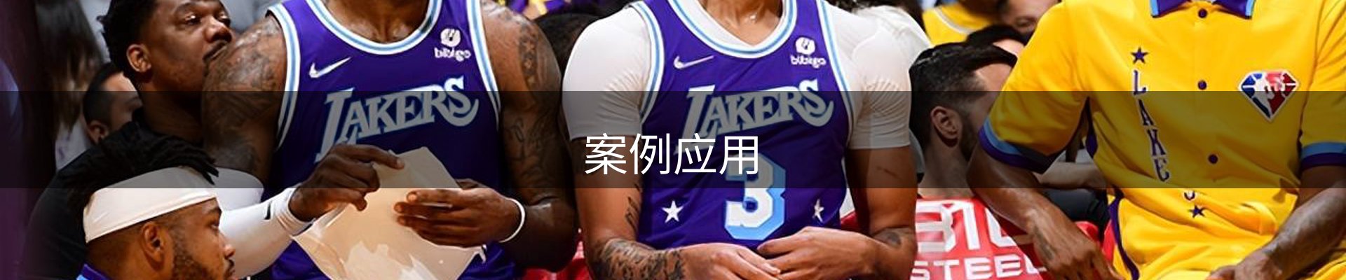 案例应用