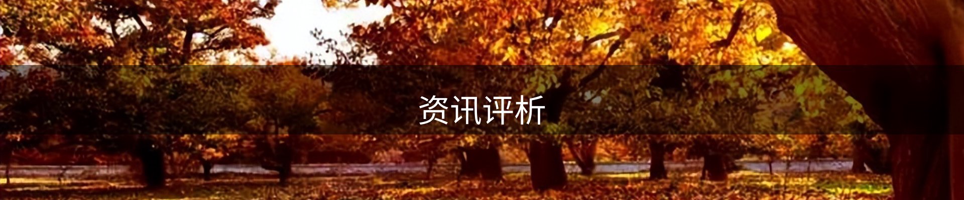 资讯评析